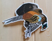 Griffon with Pheasant Sticker Decal
