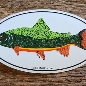 Brook Trout Sticker Decal