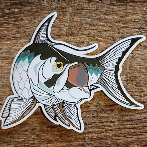 Snook Sticker Decal - Etsy