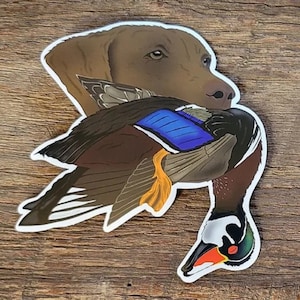 Chesapeake Bay Retriever Stickers Decals with Waterfowl