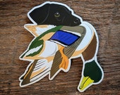 Black Labrador Retriever with Mallard Duck Sticker Decal 4.5 quot x 4.5 quot