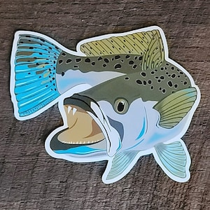 Speckled Sea Trout Sticker Decal