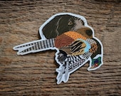 Griffon with Pheasant Sticker Decal