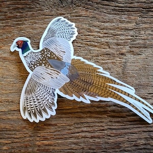 May include: A sticker of a pheasant with brown, white, and black feathers in flight. The pheasant has a blue head and a red beak. The sticker has a white border and the text "creeknuts.com" in the lower right corner.