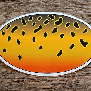 Cutthroat Trout Skin Sticker Decal