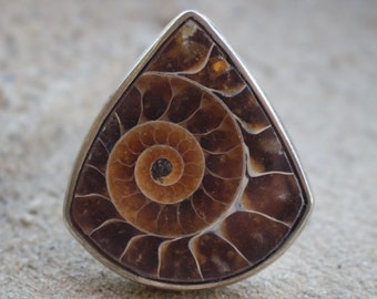 Ammonite Fossil Sterling Silver Ring