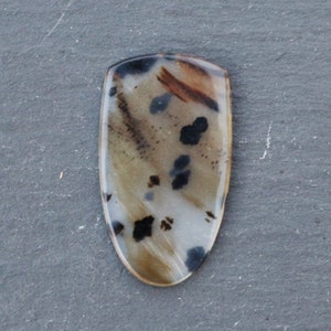 Montana Dendritic Agate Cabochon