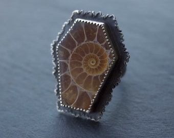 Ammonite Fossil Sterling Silver Coffin Ring