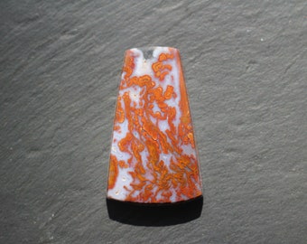 Windgate Pass Plume Agate Cabochon