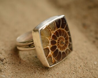 Ammonite Fossil Sterling Silver Ring