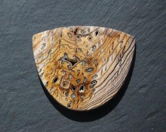 Hell's Canyon Petrified Wood Cabochon