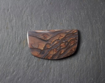 Deschutes picture Jasper Cabochon