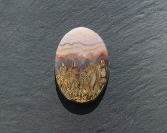 Prudent Man Plume Agate Cabochon