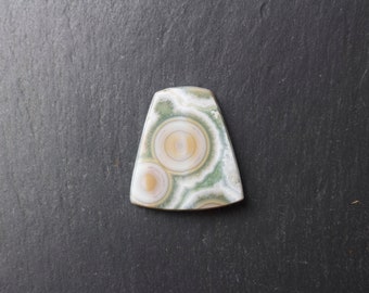 Ocean Jasper Cabochon