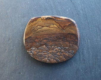 Deschutes picture Jasper Cabochon