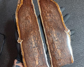 Deschutes Picture Jasper Slab Pair
