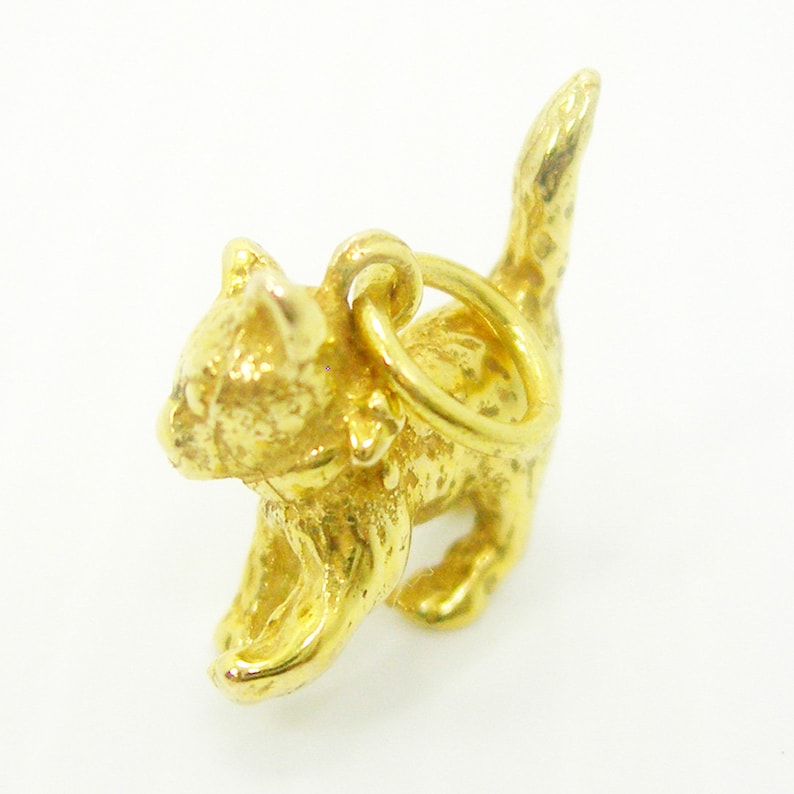 K&ouml;nnte beinhalten: Ein goldfarbener Anh&auml;nger in Form eines kleinen K&auml;tzchens. Der Anh&auml;nger hat eine strukturierte Oberfl&auml;che und eine Schlaufe zum Anbringen an einer Halskette oder einem Armband.