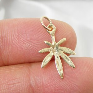 May include: Gold-toned marijuana leaf charm pendant. The charm is detailed with a realistic leaf design and has a loop at the top for attaching to a necklace or bracelet.