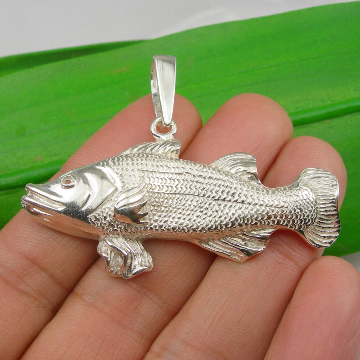 Game Fishing Large Barramundi Sea Bass 