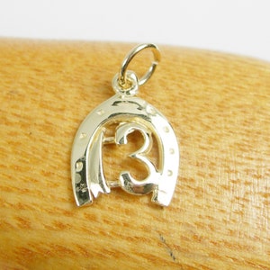 Echte 375 9 kt 9 kt of echte 750 18 kt geelgouden geluksgetal 13 en hoefijzer bedelhanger hoefijzer - C75