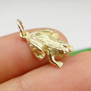 Colgante con amuleto de rana de la selva tropical de la suerte de Feng Shui, oro amarillo genuino de 375 9 k y 9 ct o 750 18 ct - C119