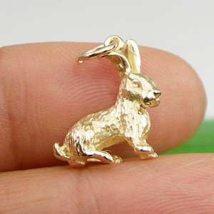 The Rabbit Chinese Zodiacs Animal Sign Solid 3D Charm Pendant, Genuine 375 9k or 750 18k Yellow Gold Genuine 925 Sterling Silver - CH04