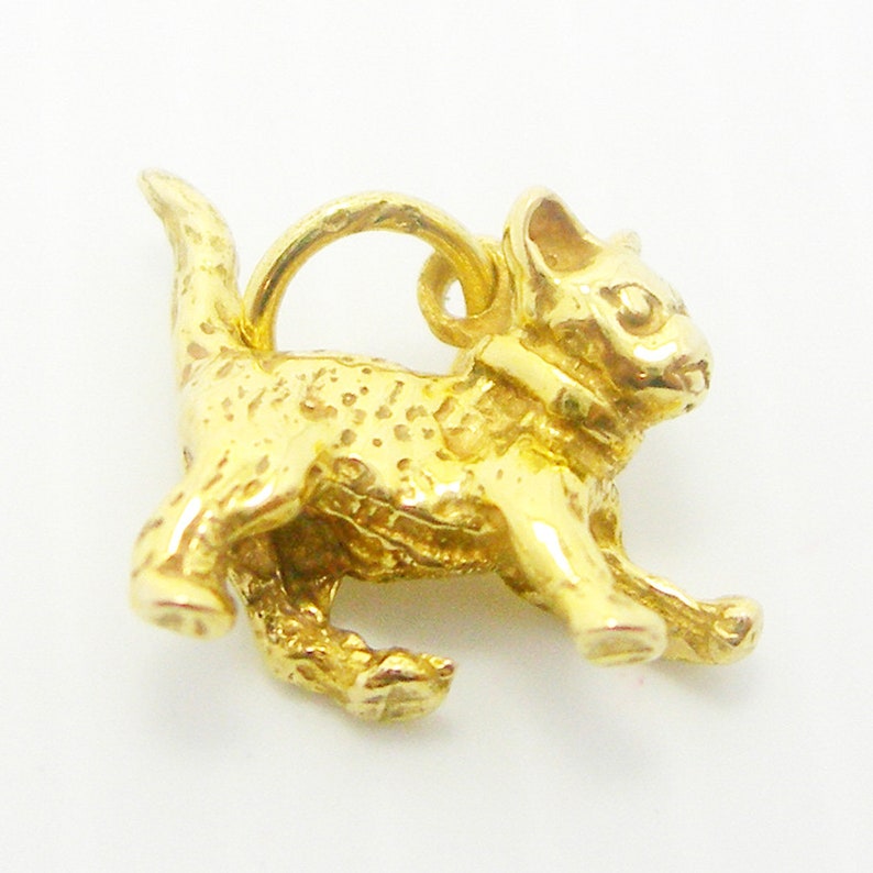 K&ouml;nnte beinhalten: Ein goldfarbener Anh&auml;nger in Form einer Katze. Die Katze sitzt auf ihren Hinterbeinen mit ausgestreckten Vorderpfoten. Der Anh&auml;nger hat oben eine Schlaufe zum Anbringen an einer Halskette oder einem Armband.