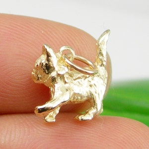 K&ouml;nnte beinhalten: Ein goldener Anh&auml;nger in Form eines K&auml;tzchens. Der Anh&auml;nger hat eine strukturierte Oberfl&auml;che und eine &Ouml;se zum Anbringen an einer Halskette oder einem Armband.