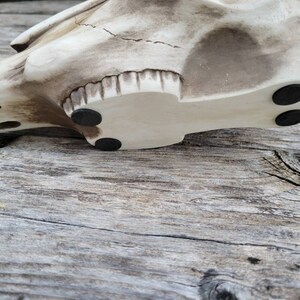 May include: A white ceramic skull with a textured surface and black rubber feet on the bottom.