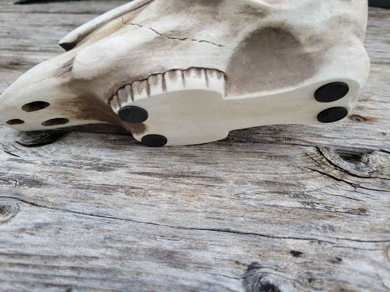May include: A white ceramic skull with a textured surface and black rubber feet on the bottom.