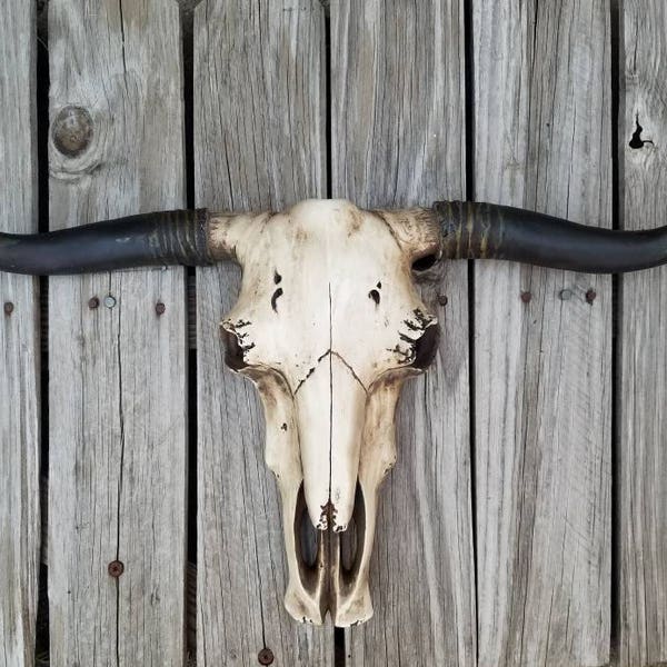 skull, taxidermy, steer, longhorn, decorated skull, skull decor, boho decor, cow skull, skull art,  faux taxidermy, chic, country wall art