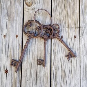 Keys, Iron keys, key set, skeleton keys, rustic keys, decorative keys, steam punk, cast iron keys, Victorian keys, iron key, key decor image 2