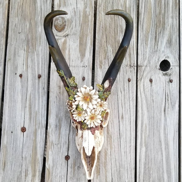 Skull, decorative skull, taxidermy, skull decor, boho decor, painted skull, rustic skull, wall mount skull, cow skull, faux skull, longhorn