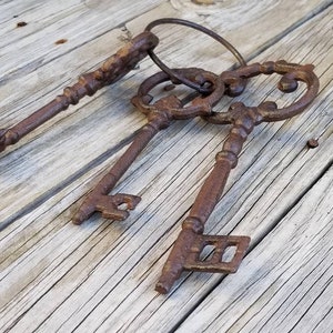 Keys, Iron keys, key set, skeleton keys, rustic keys, decorative keys, steam punk, cast iron keys, Victorian keys, iron key, key decor image 5