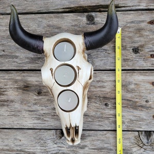 May include: A white ceramic bull skull candle holder with three candle openings. The horns are black and the skull has a distressed white finish.