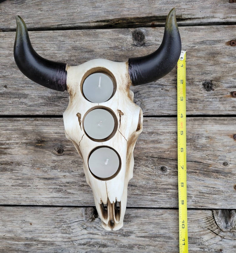 May include: A white ceramic bull skull candle holder with three candle openings. The horns are black and the skull has a distressed white finish.