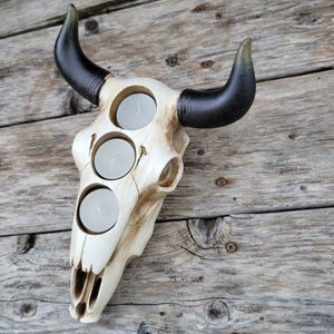 May include: White ceramic bull skull candle holder with three candle openings. The skull has a distressed, aged look and the horns are black with a green tip.