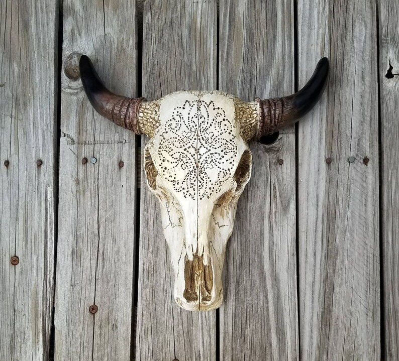 Top Five Cow Skull Decor Story Medicine Asheville
