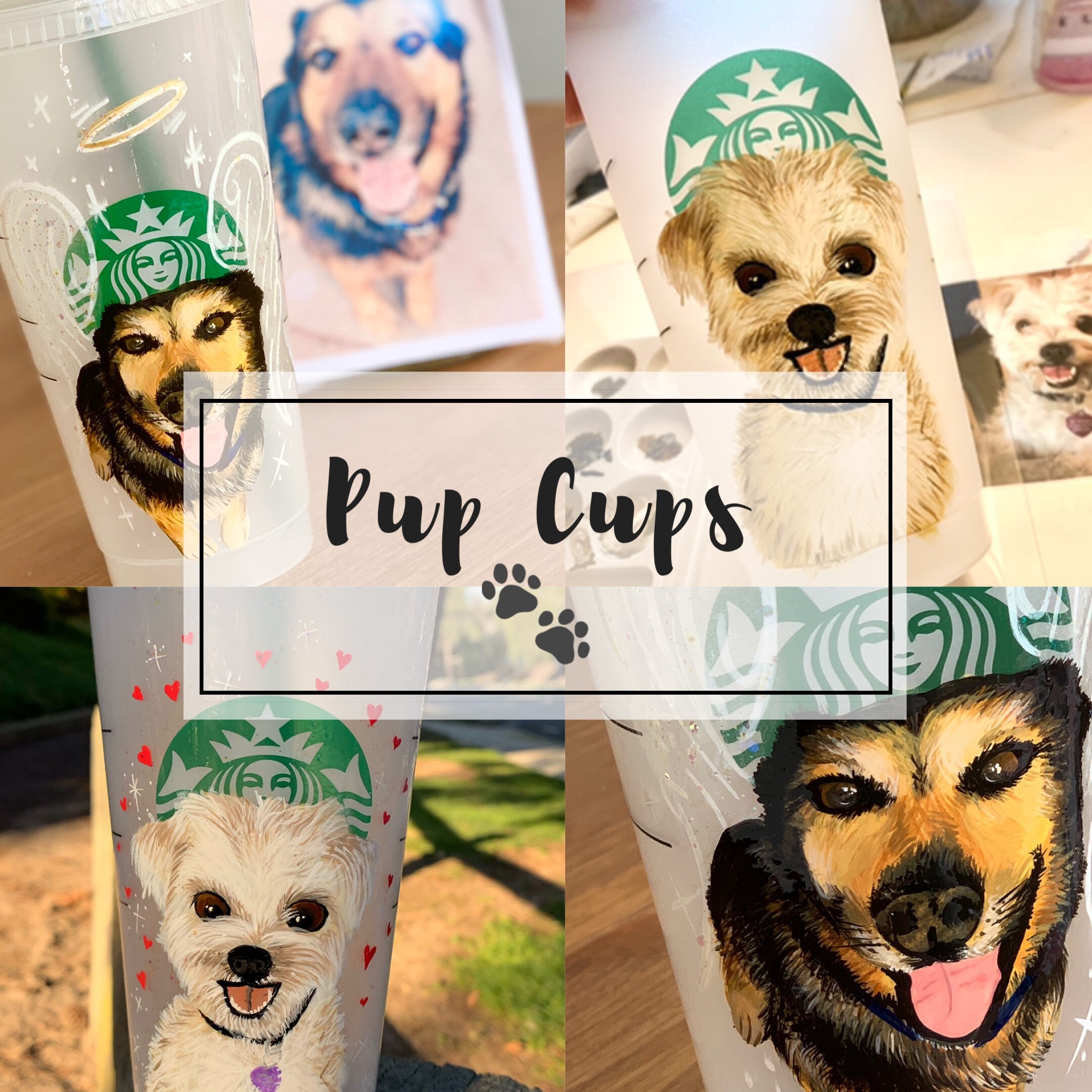 Starbucks Pup Cups Custom pet portraits Etsy