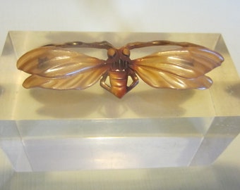 Collier Vintage Art Nouveau En Corne Blonde Sculpté Fleuri - France Vers 1900