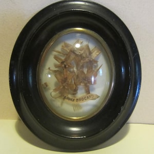 Antique Victorian French framed hair work, mourning frame, palette hair work; memento mori; mm331