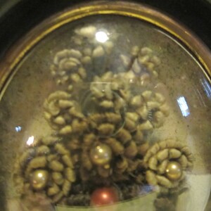May include: A close-up of a glass dome containing a cluster of dried white flowers, arranged in a circular pattern. The flowers are surrounded by small, gold-colored beads.