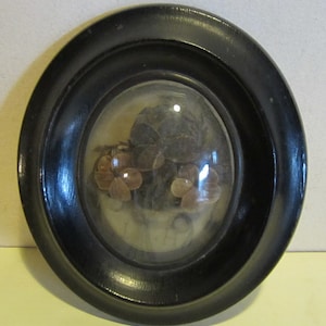 Antique Victorian French framed hair work, mourning frame, palette hair work; memento mori, late 19th century; mm19