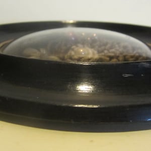 May include: A black circular frame with a glass dome containing a collection of dried flowers and foliage.