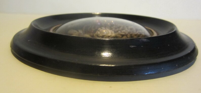 May include: A black circular frame with a glass dome containing a collection of dried flowers and foliage.