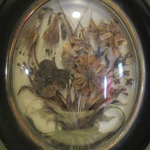Antique memento mori, Victorian French framed hair work, mourning frame, palette hair work;   mm333