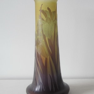 Antique Emile Gallé cameo glass vase, acid etched vase with iris, pate de verre, art nouveau, France, 1904 - 1910