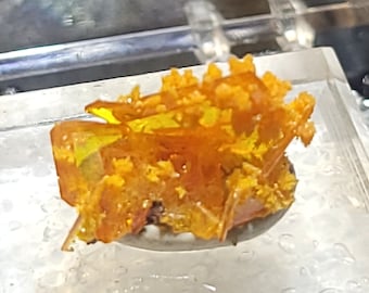 Wulfenite con mimetite
