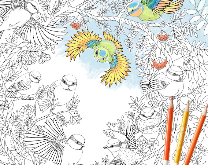 Coloring Page INSTANT DOWNLOAD Paradise Birds nature bird forest Adult coloring book Adult Coloring page