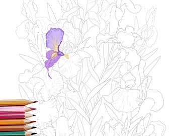 Coloring Page INSTANT DOWNLOAD Iris flowers - Adult Coloring page - nature - blooms - floral - flower - botanical - Adult coloring book